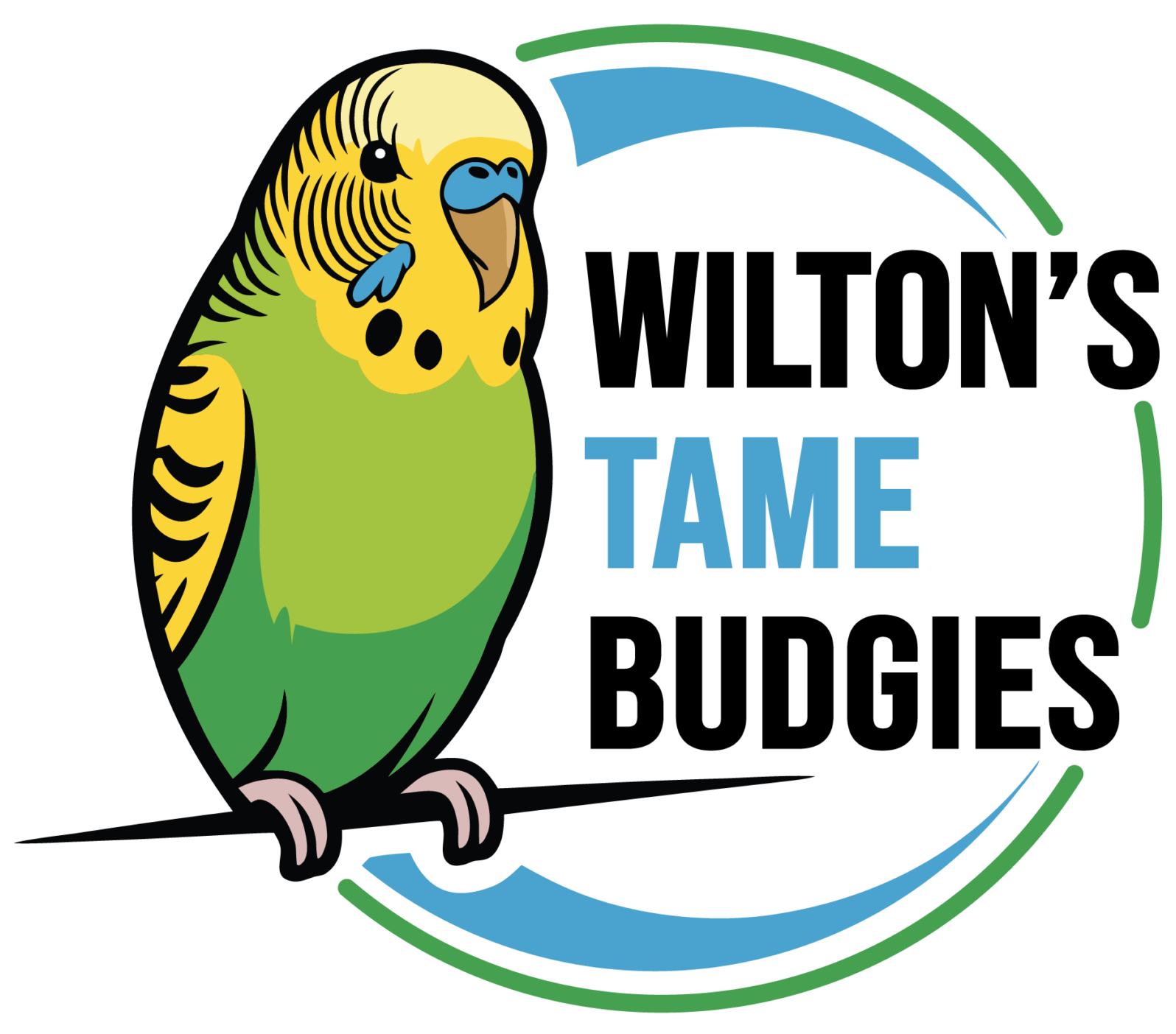 Wilton's Tame Budgies